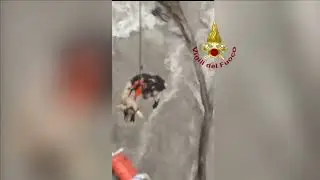 Firefighters Rescue Stranded Sheep And Goats From Rising Waters
