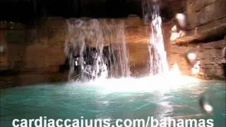 The Abyss Water Slide Atlantis Paradise Island POV