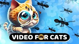 CAT GAMES - Ants. Insects Video for Cats | CAT TV | 1 Hour.