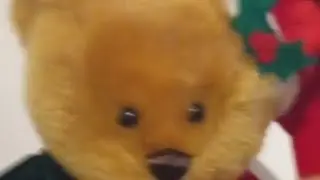 Xaimen star teddy bear review 