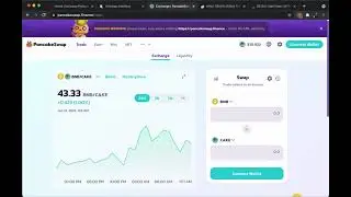 How to Add a NEW Token on UniSwap & PancakeSwap