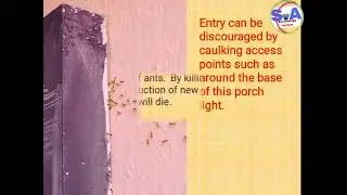 Management of ants it's prevention,chemical and baiting system.