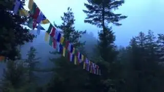 Pilgrimage to Tiger's Nest with Bhutan local based tour and travel agent 
