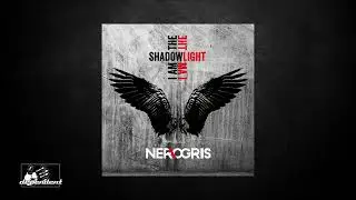 NER\OGRIS - Inicio