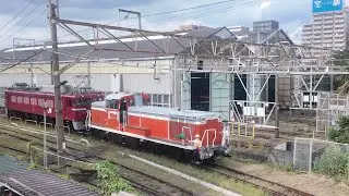 EF81 139+DE10 1752,EF81 81,EF81 80 [2024.9.9]