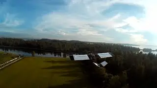 Blackout Mini Spider Hex - Chase ALL The Things!