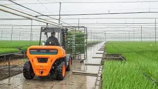 AUSA C151E: 100% elektryczny wózek terenowy