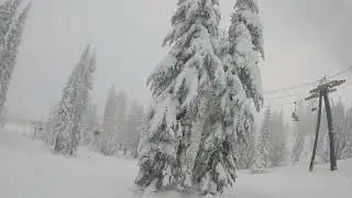 Sugar Bowl 12/31/2021