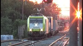 Trains at Zwijndrecht station (The Netherlands) - Captrain, RTB Cargo, RheinCargo, DB...