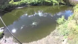 Fly Fishing With the Kids
