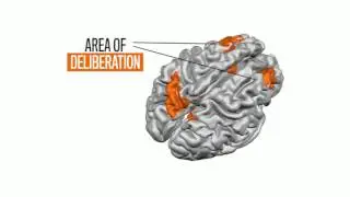 Johns Hopkins Researches Glimpse 