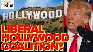 Music Industry Legend Breaks Down The Liberal Hollywood Coalition That Helped TAKE DOWN Trump