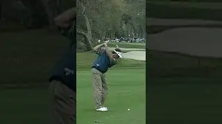 The pure swing of Fred Couples 😮&zwj;💨