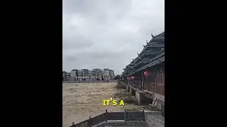 Fast Flood Water Reaches Residential Streets #FloodScene #BrownWater #DangerLevel #StayAlert #Nature