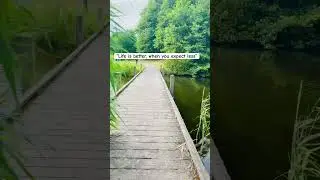 Evening walk in my neighbourhood 🍀 #travel #travelvlog #netherlands #evening #dutchiebangali