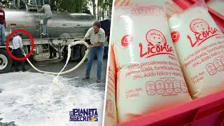 El SECRETO OCULTO De La LECHE CONASUPO