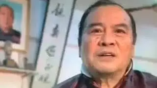 Ho Kam Ming on Wing Chun (English subtitled)