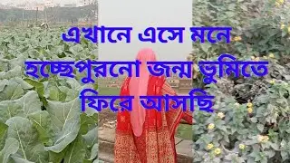 সংসারের  হাজারো  কাজ  ফেলে  প্রকৃতির   একটু ছোঁয়া  পেতে আসলাম