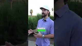 Думаете о продажах солнечной энергии? Три вещи, которые вам нужно услышать 🔥