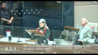 Beverly Rebmann/Deputation to Calgary City Council/ Remove Unelected Foreign Organizations/11/18/24