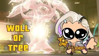 Are these Trees or Walls? Another Lifeweaver video montage #2