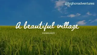 Life Between Green Paddy Fields 🌾🌴🌿🌤️🌍