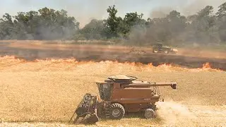 Fire In The Oat Field
