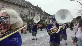 Buurefasnachtumzug in Weil am Rhein 2025 #5