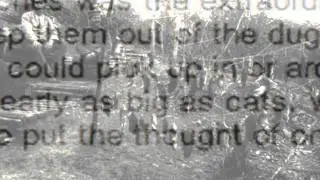 In Their Own Words - WWI Trench Rats