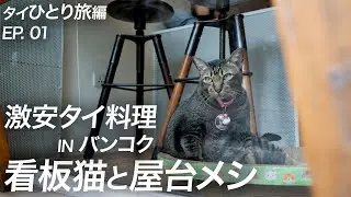 【タイひとり旅】可愛い看板猫のいるホステル＆激安屋台でタイ料理を食べる 4K