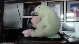 spin me Frog