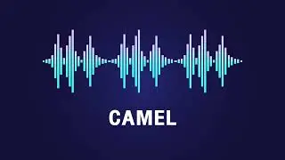 Camel - Sound Effect