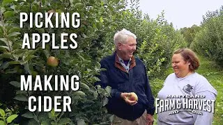 Picking Apples and Making Cider at Lohr's Orchard  |  MD F&H