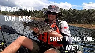 NORTH PINE DAM | BASS FISHING!!!
