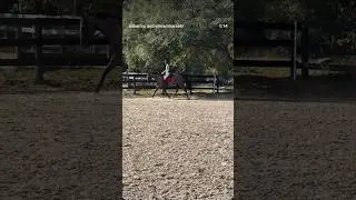 Dressage lesson highlights featuring Prince Hansen can&rsquo;t wait to compete Sunday ✨