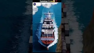 Containers lost at sea🤯❓️ #factlist #facts #shortsvideo