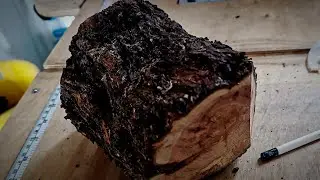  Extreme Natural Edge: Turning a Rare Mastic Tree Bowl