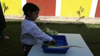 Identify Vegetables - Montessori Activity