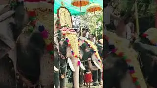 Ernakulathappan Temple Utsavam 2026 #ernamkulathappan #sivatemple