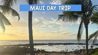 ISLAND HOP TO MAUI|FOOD & WINE FESTIVAL|TOP CHEFS, FRESH SEAFOOD AND MORE!|MAUI HAWAII