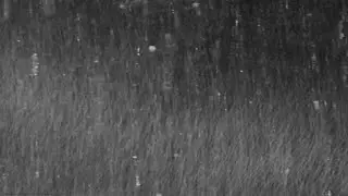 3 hours of Moderate Rainfall with Dark Screen.