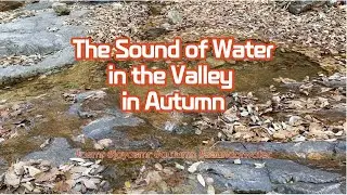 ASMR / The sound of water in the valley / 계곡 물 소리