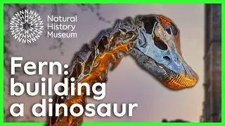 Creating a bronze dinosaur for the Natural History Museum gardens | The story behind Fern