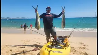 DORADOS EN PLAYA PALMILLA SJC