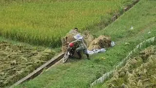 0000113 Mai Ch&acirc;u