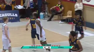 Helsinki Seagulls vs. Tapiolan Honka - Game Highlights