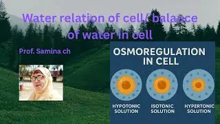 Water relation of cell | balance of water&rsquo;s and solute in cell | 2nd year | Samina ch tutorial 