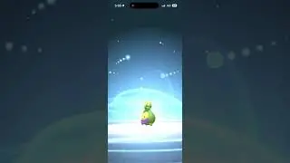 Evolving SHINY Budew