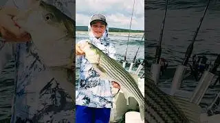 Rogen catching a striper out of the surf around Booth Bay.  We were fishing with #ChargerMarine.
