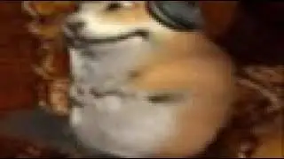 Hamster listening to music